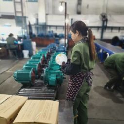 環(huán)保設(shè)備專用防爆高壓鼓風(fēng)機(jī)